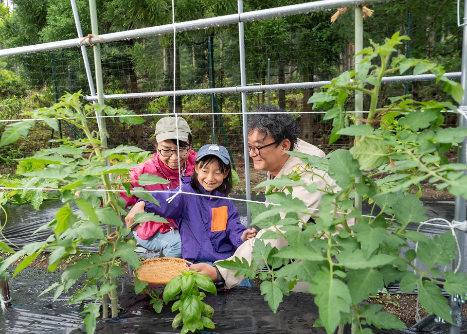 畑で野菜の収穫を楽しむ親子の様子