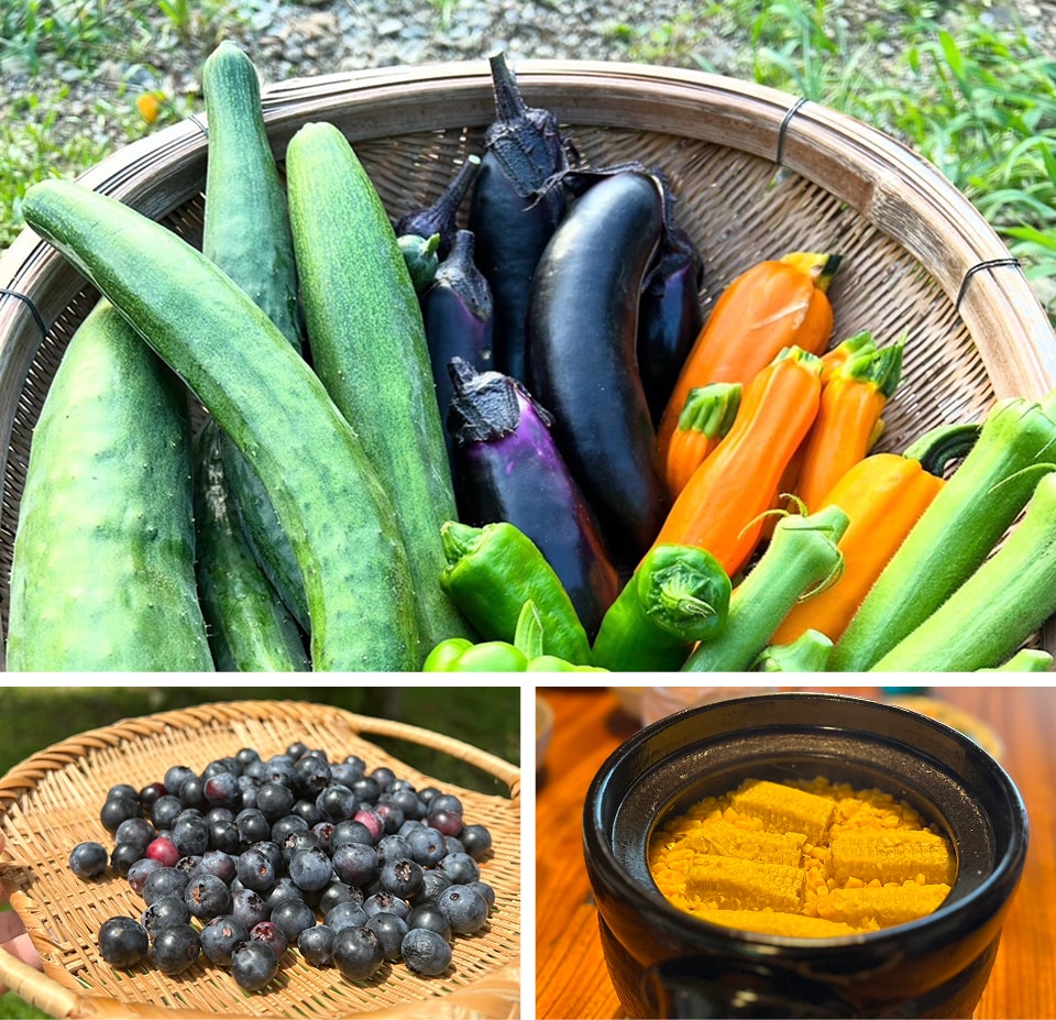 採れたての野菜や果物、料理の写真