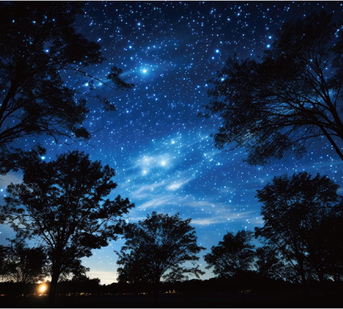 夜空いっぱいに広がる満天の星