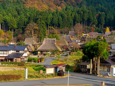 茅葺き屋根の古民家が並ぶ、かやぶきの里